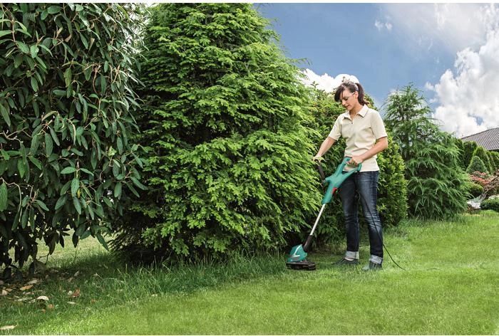 Потужній тример електричний садовий для трави Bosch EasyGrassCut 26 : 280 Вт, 12500 об/хв, волосінь, 26 см 06008A5800 фото