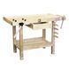 Столярний верстак Holzmann WB 106MINI WB106MINI фото 1