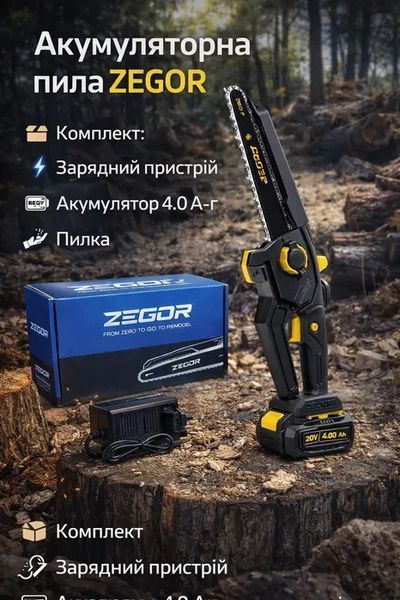Пила ланцюгова акумуляторна ZEGOR CSPB-21BL-10 (1акум.21В 4Аг/зарядний/25см) CSPB-21BL-10 фото